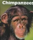 Chimpanzees