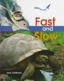 Fast and slow