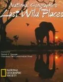 Spin's really wild Africa tour