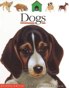 Dogs