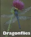 Dragonflies
