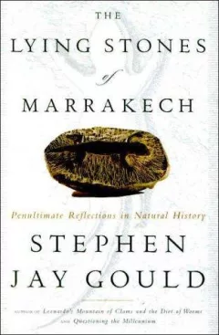 The lying stones of Marrakech