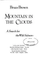 Mountain in the clouds