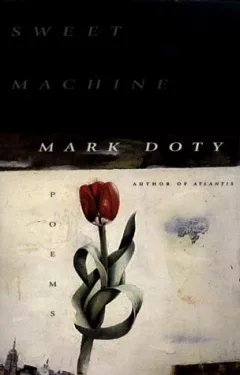 Sweet machine