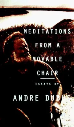 Meditations from a movable chair