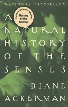 A natural history of the senses