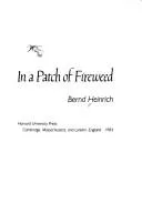 In a patch of fireweed