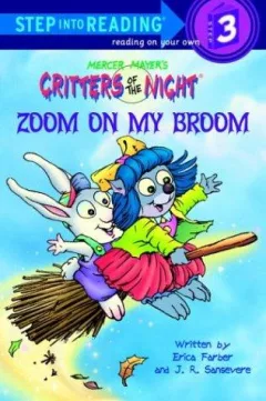Zoom on my broom