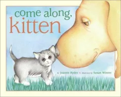 Come along, kitten
