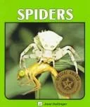 Spiders
