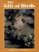 The Gift of birds.