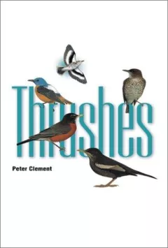Thrushes