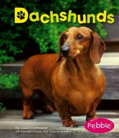 Dachshunds