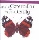 From Caterpillar to Butterfly (Lifecycles)