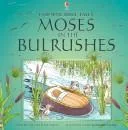 Moses in the Bulrushes