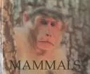 Mammals