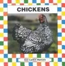 Chickens (Farm Animals)