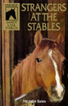 Strangers at the Stables (Sandy Lane Stables Series)