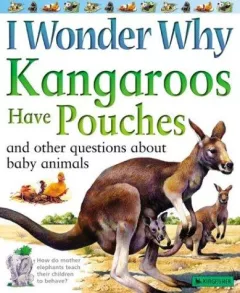 I wonder why kangaroos have pouches and other questions about baby animals