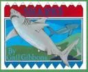 Sharks (Live Oak Readalong)