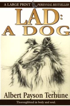 Lad, a dog