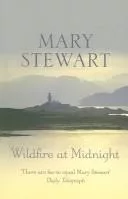 Wildfire at midnight.