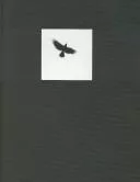Pájaros