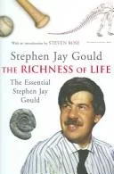 The Richness of Life