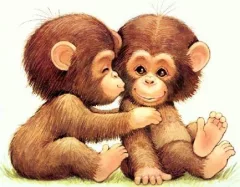 New world monkeys