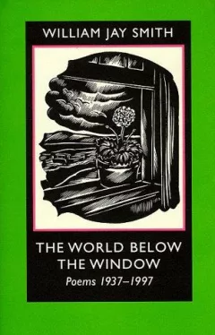 The world below the window