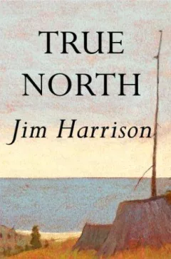 True north