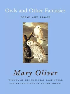 Owls and other fantasies