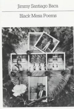 Black Mesa poems