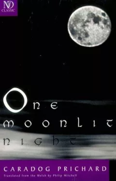 One moonlit night