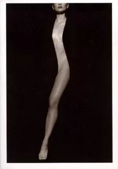 The body