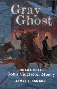 Gray Ghost