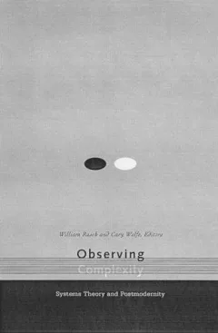 Observing Complexity