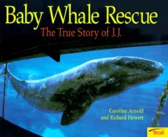 Baby whale rescue