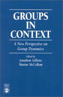 Groups in context