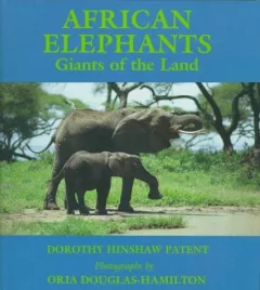 African elephants