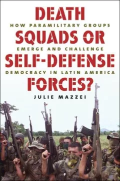 Death squads or self-defense forces?