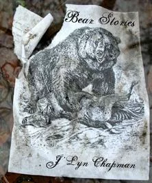 Bear Stories