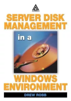 Server Disk Management in a Windows Environment