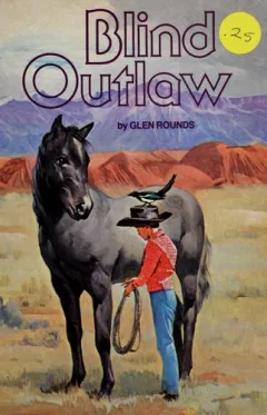 Blind outlaw