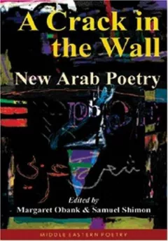 A Crack in the Wall