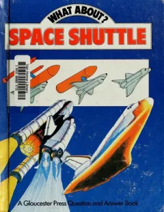 Space shuttle