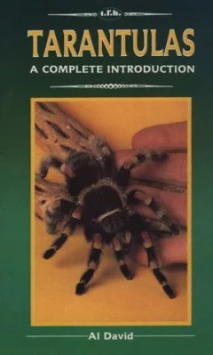 Tarantulas