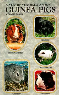 A step by step book about guinea pigs