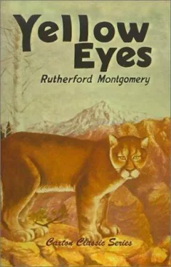 Yellow Eyes (Caxton Classics)