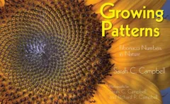 Growing patterns